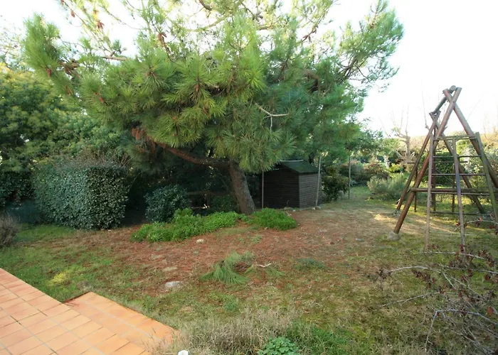 Maison Avec Grand Jardin à 40m De La Plage, Prox. Centre-ville, 3 Ch, Terrasse Plein Sud - Fr-1-22-255 *